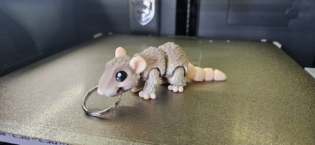 Rat