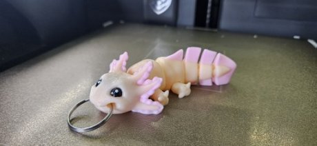 Axolotl