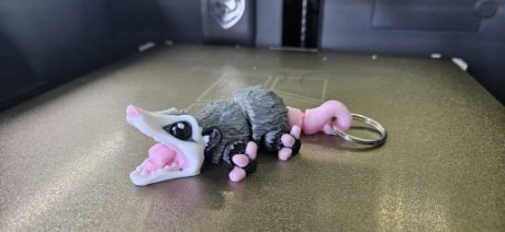 Buidelrat