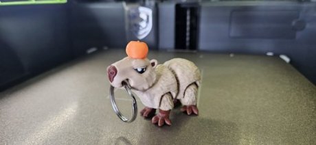 Capybara Meme