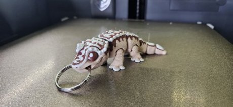 Gekko
