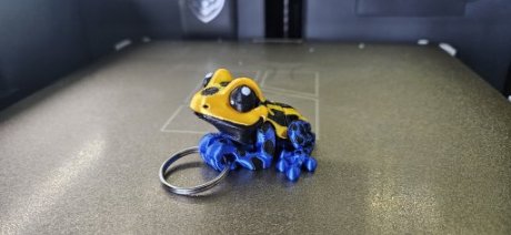 Gif Kikker