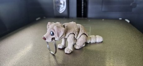 Hond Bruin