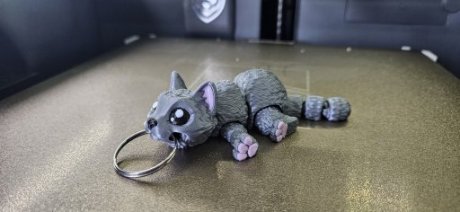 Kat Grijs