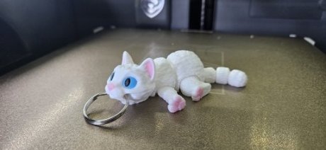 Kat Wit
