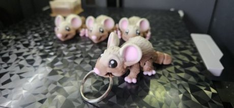 Muis