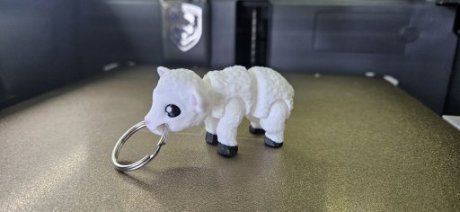 Schaap