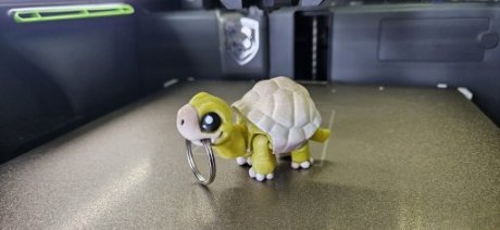 Schildpad
