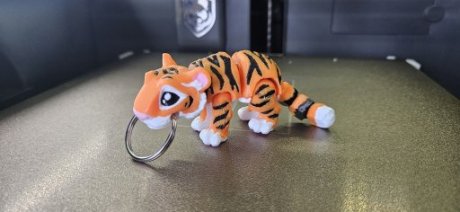 Tijger