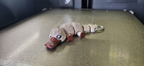 Vogelbekdier